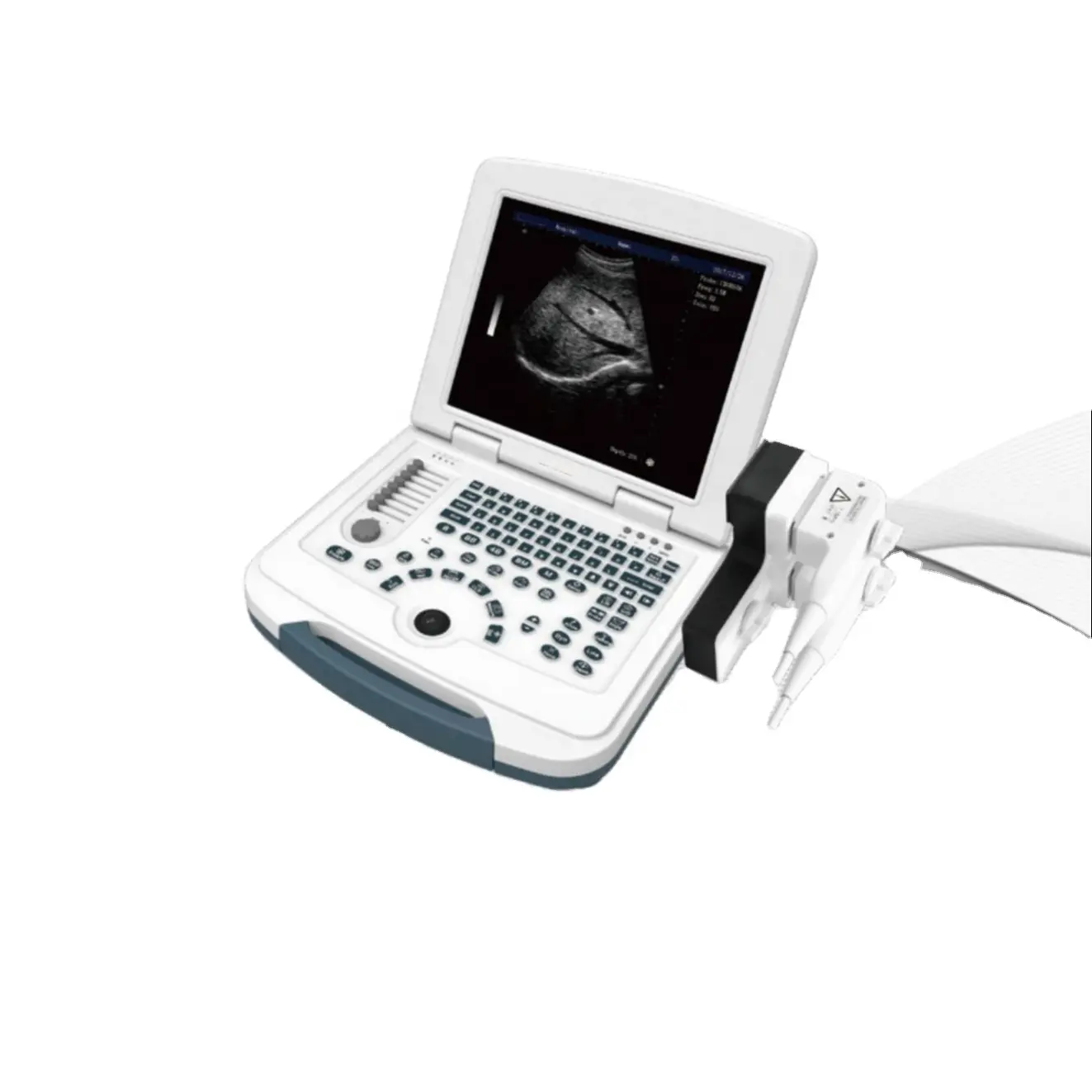 DW-580 B/W Entry Level Portable Ultrasound